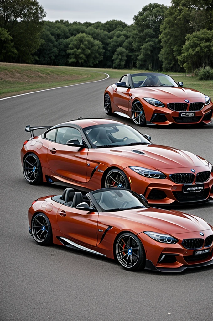 bmw z4 e85 wide body kit