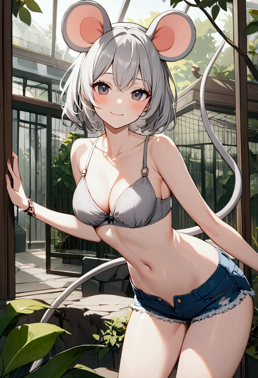 1girl with short grey hair, black eyes, slender body, medium breasts, mouse ears, mouse tail, smile, grey bra, short shorts,zoo aviary