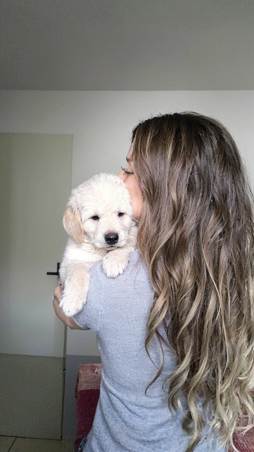 (rear view:1.2), 1 , longye hair, hair blonde, high resolution, with a golden retriever dog on her lap with her back to the camera, on a background with pink details, faithful to the original image