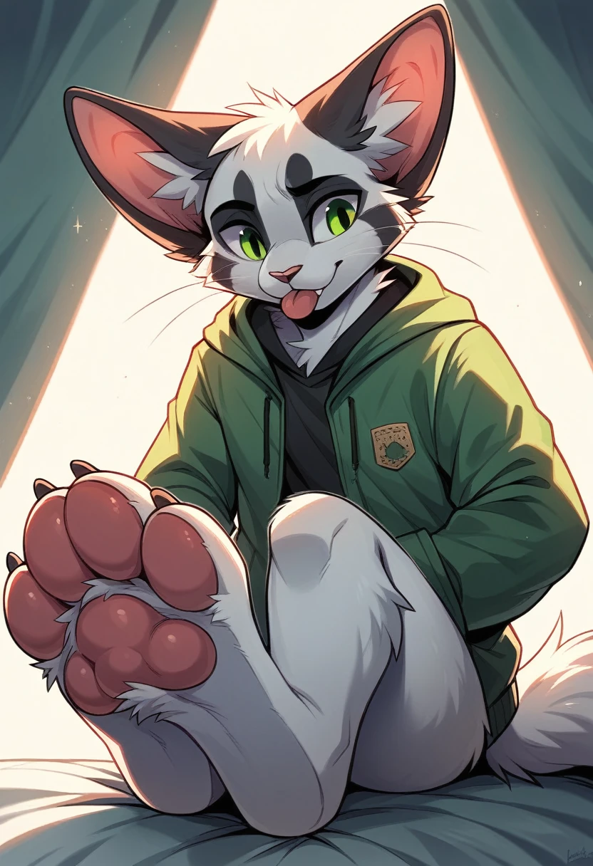 anthro, cat, white fur, green eyes, green jacket, big ears, Macro, Fußfocus, alone, good lighting, Focus on feet, Sit, licks the sole of his own foot, fluffy, pelzig paws, Paw pads, schwarze Paw pads,
