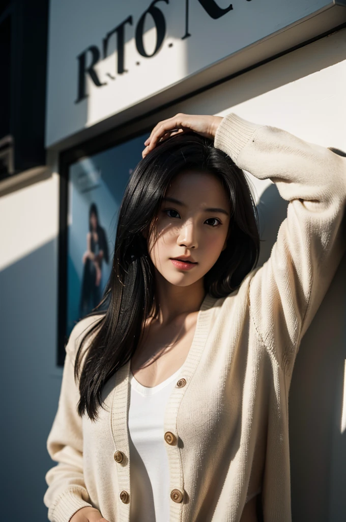 masterpiece, best quality, ultra high resolution (realism: 1.4), original photo, 35mm lens., F1 aperture.4, movie poster, light and shadow, female, white cardigan, long black hair, real skin, (skin detail: 1.3),