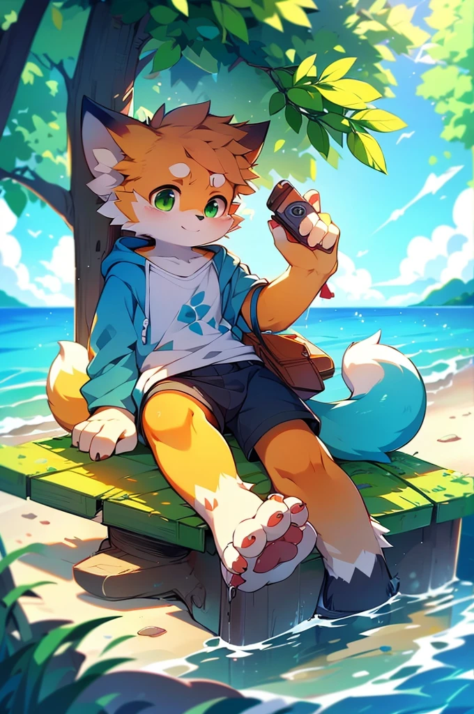 Furry,Fox,boy,8k resolution,最High resolution, High resolution,Sea view,Wearing a hoodie,Green Eyes,summer