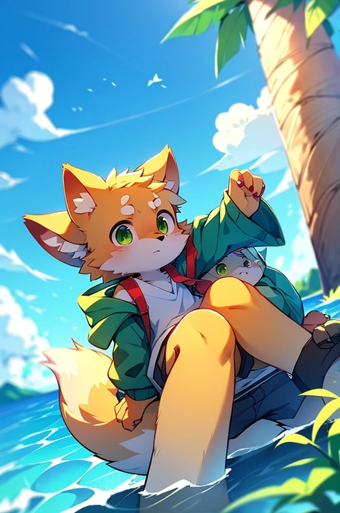 Furry,Fox,boy,8k resolution,最High resolution, High resolution,Sea view,Wearing a hoodie,Green Eyes,summer「worst quality , low quality , normal quality」