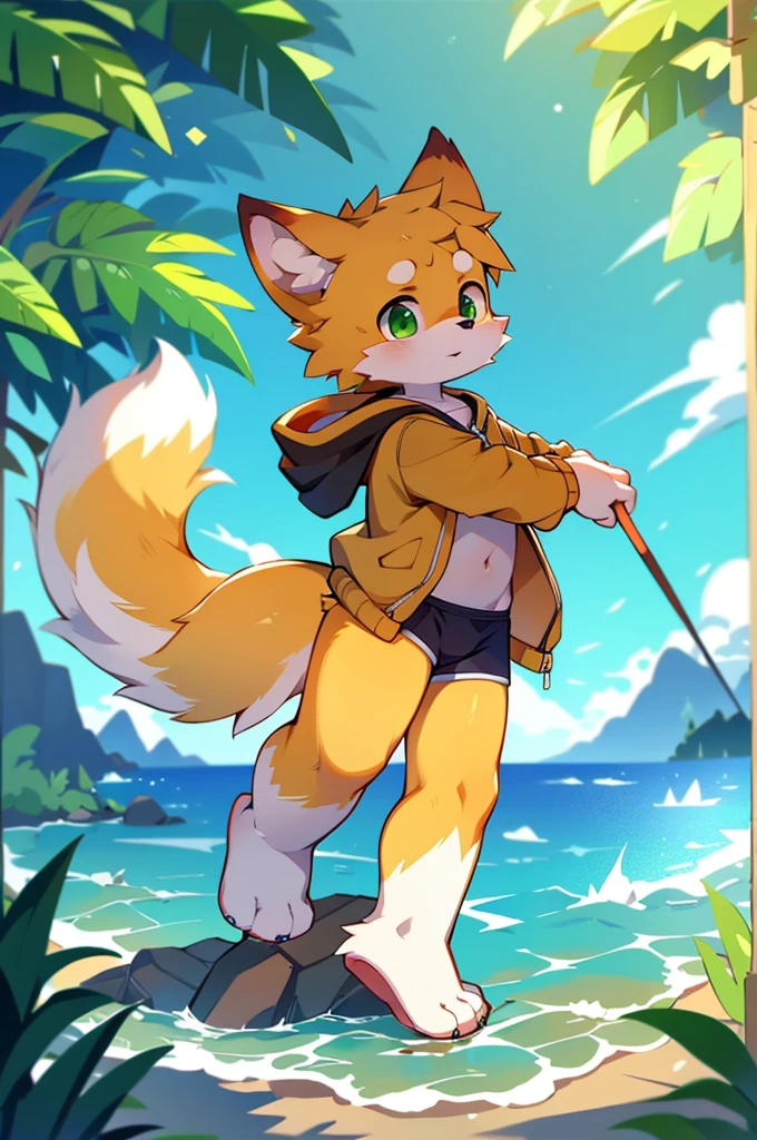 Furry,Fox,boy,8k resolution,最High resolution, High resolution,Sea view,Wearing a hoodie,Green Eyes,summer,Stand on your feet,Two legs,