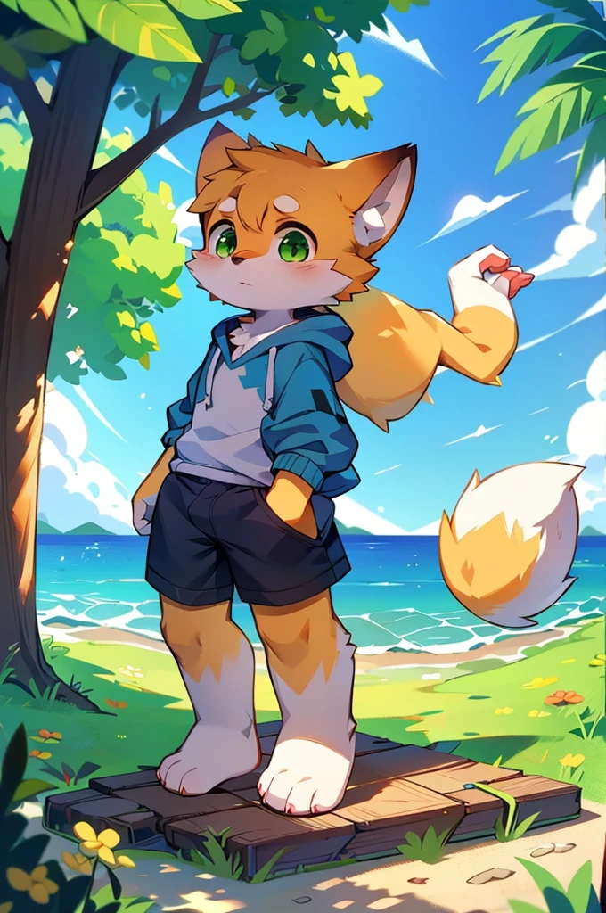 Furry,Fox,boy,8k resolution,最High resolution,                   High resolution,Sea view,Wearing a hoodie,Green Eyes,summer,Stand on your feet,Two legs,