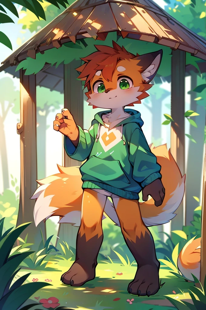 Furry,Fox,boy,8k resolution,最High resolution,                   High resolution,Wearing a hoodie,Green Eyes,summer,Stand on your feet,Two legs,Five fingers on a hand,Five toes,tall,：tall stature,slim,fit