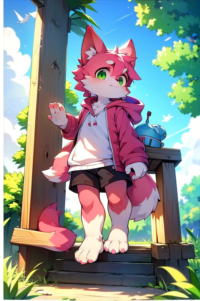Furry,Pink fur,Girl,8k resolution,最High resolution,                   High resolution,Wearing a hoodie,Green Eyes,summer,Stand on your feet,Two legs,Five fingers on a hand,Five toes,tall,：tall stature,fit,medium,Standard