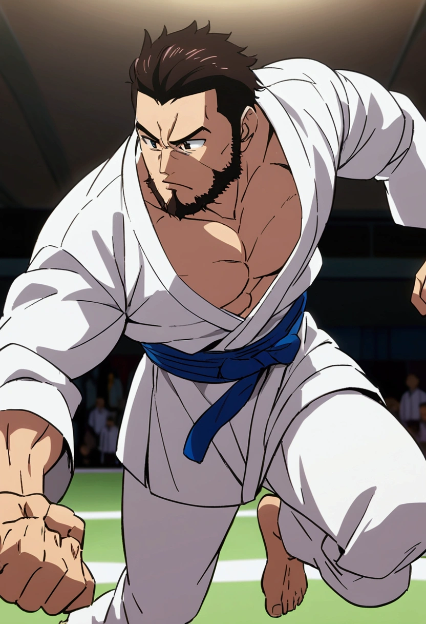Muscular Physique、male、40s、Bearded、anime colored、judo、judo着