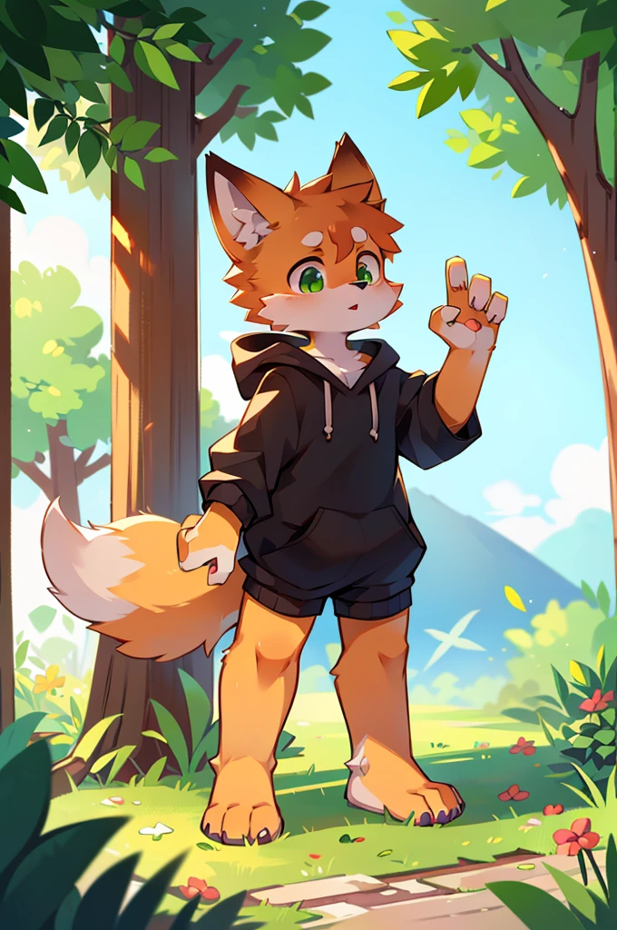 Furry,Fox,boy,8k resolution,最High resolution, High resolution,Wearing a hoodie,Green Eyes,summer,Stand on your feet,Two legs,Five fingers on a hand,Five toes,tall,:tall stature,fit,medium,Standard