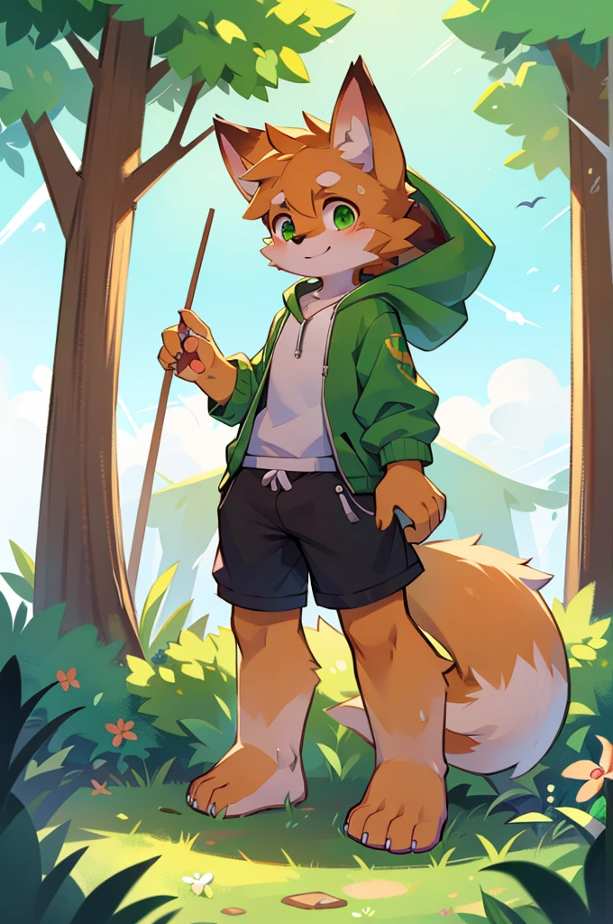 Furry,Fox,boy,8k resolution,最High resolution,                   High resolution,Wearing a hoodie,Green Eyes,summer,Stand on your feet,Two legs,Five fingers on a hand,Five toes,tall,：tall stature,fit,medium,Standard