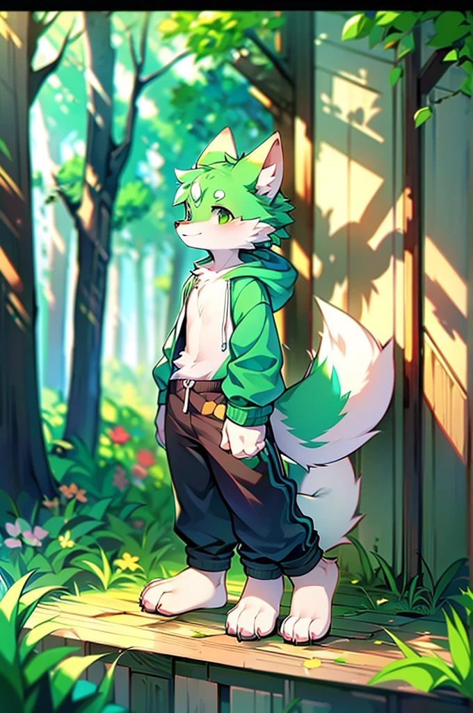 Furry,Fox,Green fur boy,8k resolution,最High resolution, High resolution,Wearing a hoodie,Green Eyes,summer,Stand on your feet,Two legs,Five fingers on a hand,Five toes,tall,:tall stature,fit,medium,Standard