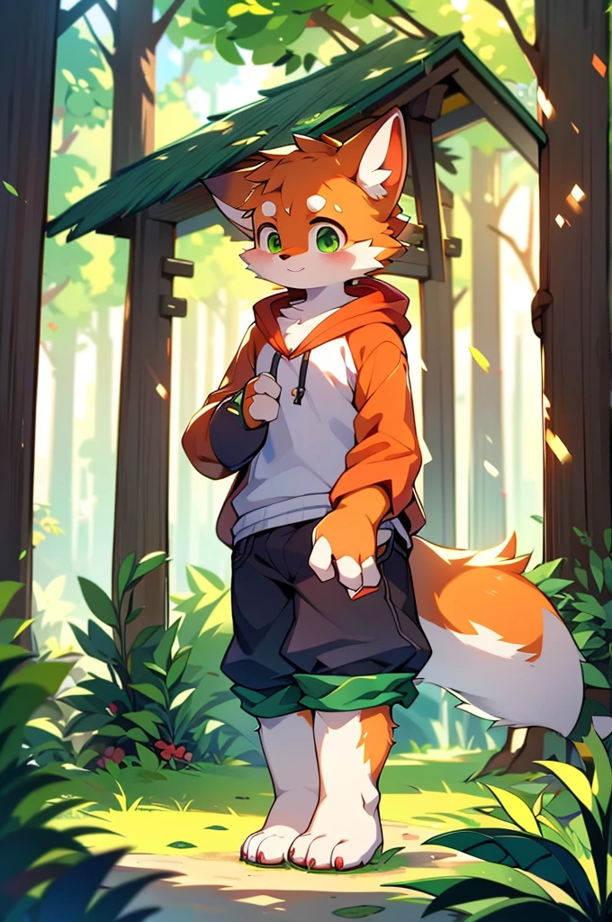 Furry,Fox,boy,8k resolution,最High resolution,                   High resolution,Wearing a hoodie,Green Eyes,summer,Stand on your feet,Two legs,Five fingers on a hand,Five toes,tall,：tall stature,fit,medium,Standard,green fur