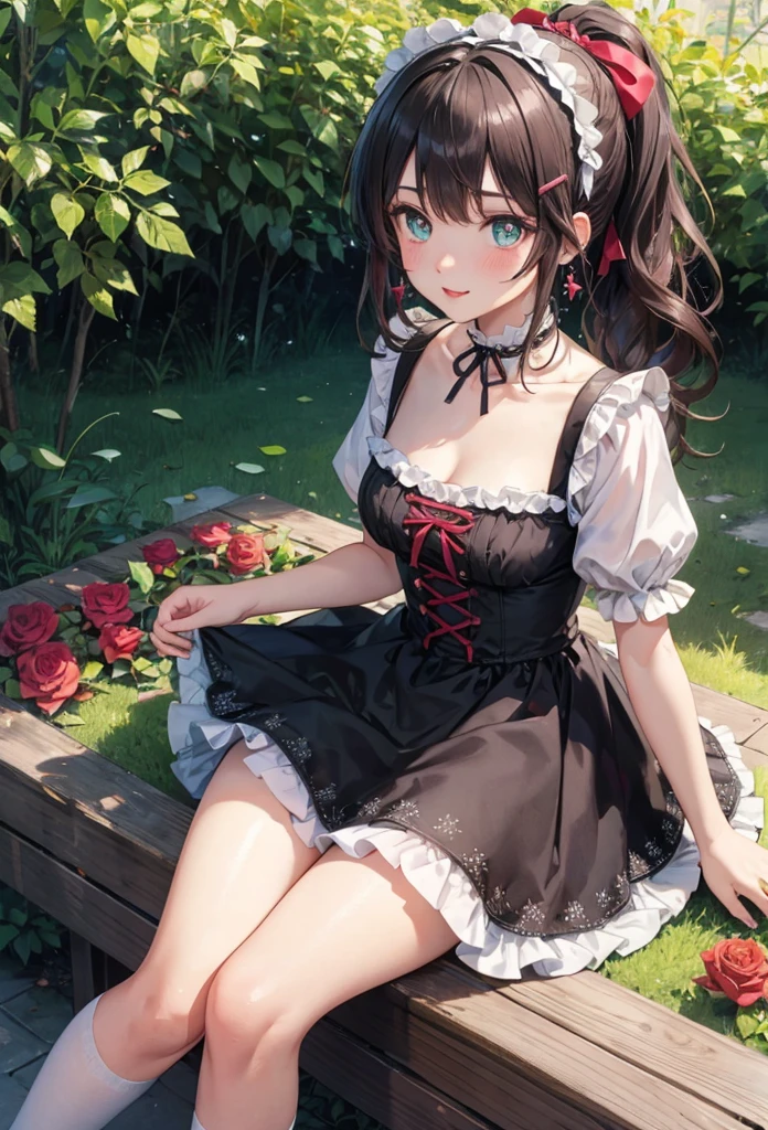 A beautiful girl in a black dress sitting on a wooden platform, anime girl, rose garden, beautiful and sunny day, black ta dress with lots of ruffles, floral print dress, short sleeve, lolihoker, low-cut chest, big round breasts, white lace thigh-high stockings, black lolita s, dark brown hair, gradient bangs, french braid, long hair, ponytail, wavy hair, swept bangs, shiny hair, hairclip, hair ribbon, hair flower, jewelry, lolita hairb aqua eyes, glowing eyes, pupils sparkling, earrings, light smile, blush, happy, red lips, slim waist, shapely legs, beautiful thighs, princess dress, short skirt, high detail, anime, dithering, image fill, perspective, Wide-Angle, f/1.8, 85mm, Sony FE GM, 8k, 8k wallpaper, super detail, highly detailed CG, UHD, retina, masterpiece, accurate, anatomically correct, textured skin, highres, best quality:1.3, 16k
