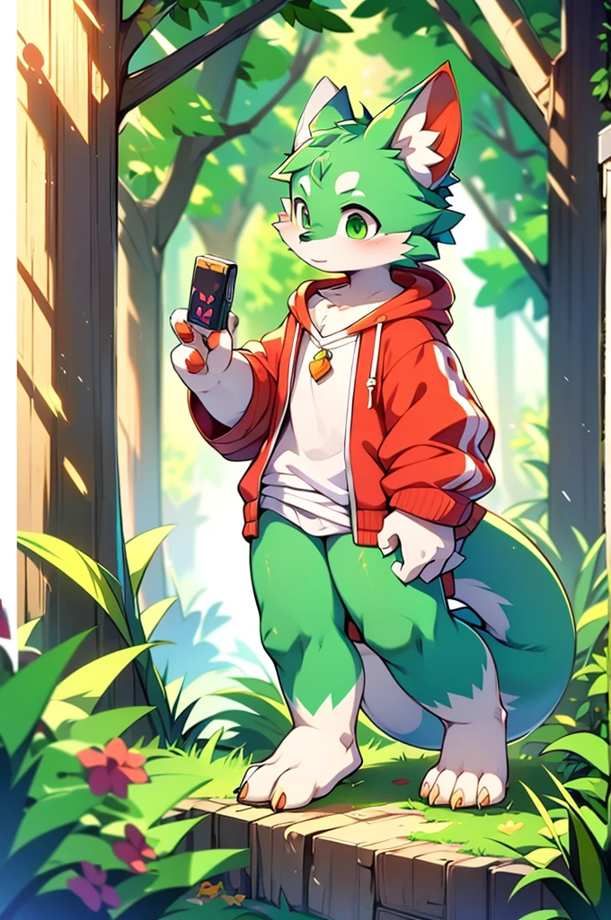 Furry,Fox,Dragon-like boy,8k resolution,最High resolution, High resolution,Wearing a hoodie,Green Eyes,summer,Stand on your feet,Two legs,Five fingers on a hand,Five toes,tall,:tall stature,fit,medium,Standard,green fur