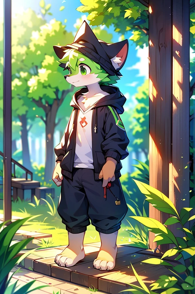 Furry,Fox,boy,8k resolution,最High resolution,                   High resolution,Wearing a hoodie,Green Eyes,summer,Stand on your feet,Two legs,Five fingers on a hand,Five toes,tall,：tall stature,fit,medium,Standard,green fur,A quiet residential area