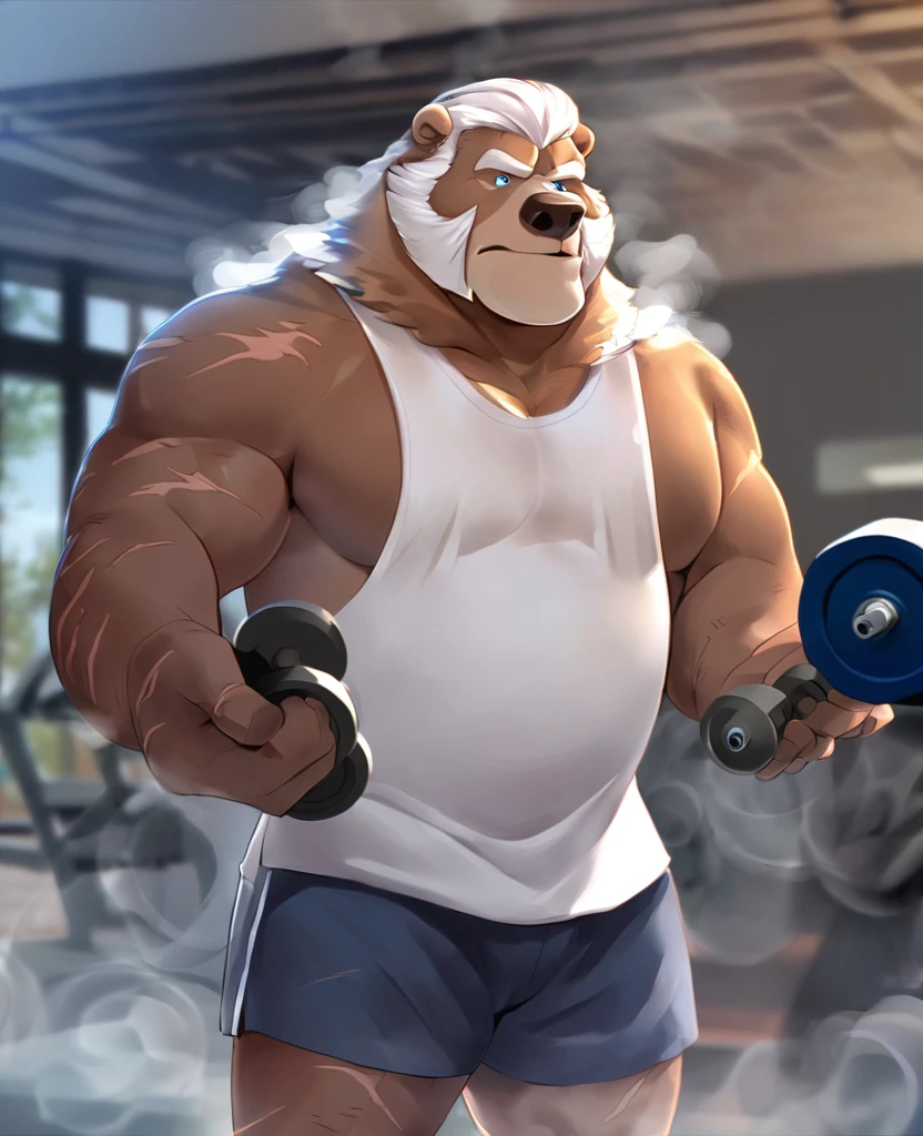 Solo,  1boy,   Grizzly Bear，personification，Mature male，Hercules， Short White hair，naked，Gentle expression，Blue pupils，gray eyebrows，Scars on face and chest，Shirtless,   topless，Huge Muscular,    Gym Shorts,  Thick Arms,   Hands Holding Dumbbells，The Age of Steam，Gym Fitness Center。