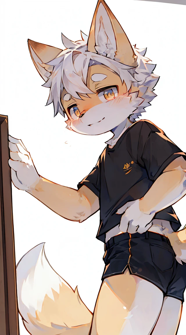 A curious male fennec fox cub is on the apartment of a night city. It has white fur, a thick tail, and a pair of furry big ears. His eyes were filled with curiosity, and the fennec fox cub had an excited and eager expression, aoeu,aoeu,aoeu,aoeu,aoeu,aoeu,aoeu,aoeu,aoeu,aoeu,aoeu,aoeu,aoeu,aoeu,aoeu,aoeu,aoeu,aoeu,aoeu,aoeu,aoeu,aoeu,aoeu,aoeu,aoeu. White background, standing up, wearing black mini shorts