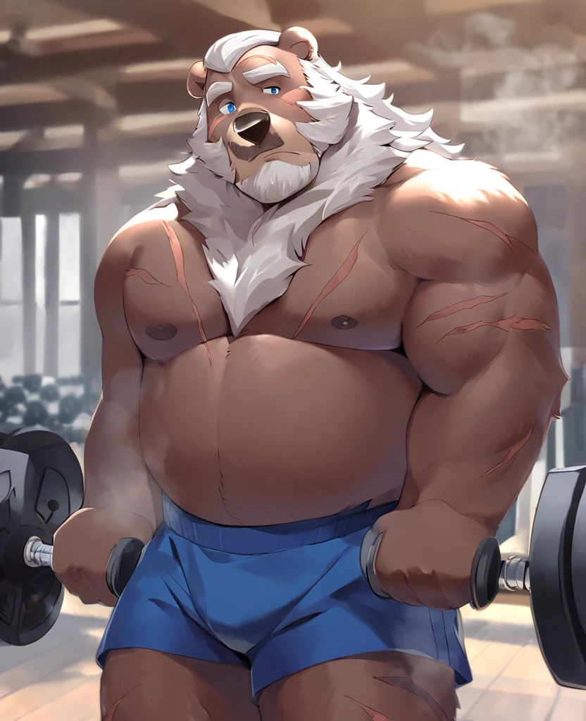 Solo,  1boy,   Grizzly Bear，personification，Mature male，Hercules，White hair，naked，Gentle expression，Blue pupils，gray eyebrows，Scars on face and chest，Shirtless,   topless，Gym Shorts,  Hands Holding Dumbbells，The Age of Steam，Gym Fitness Center。