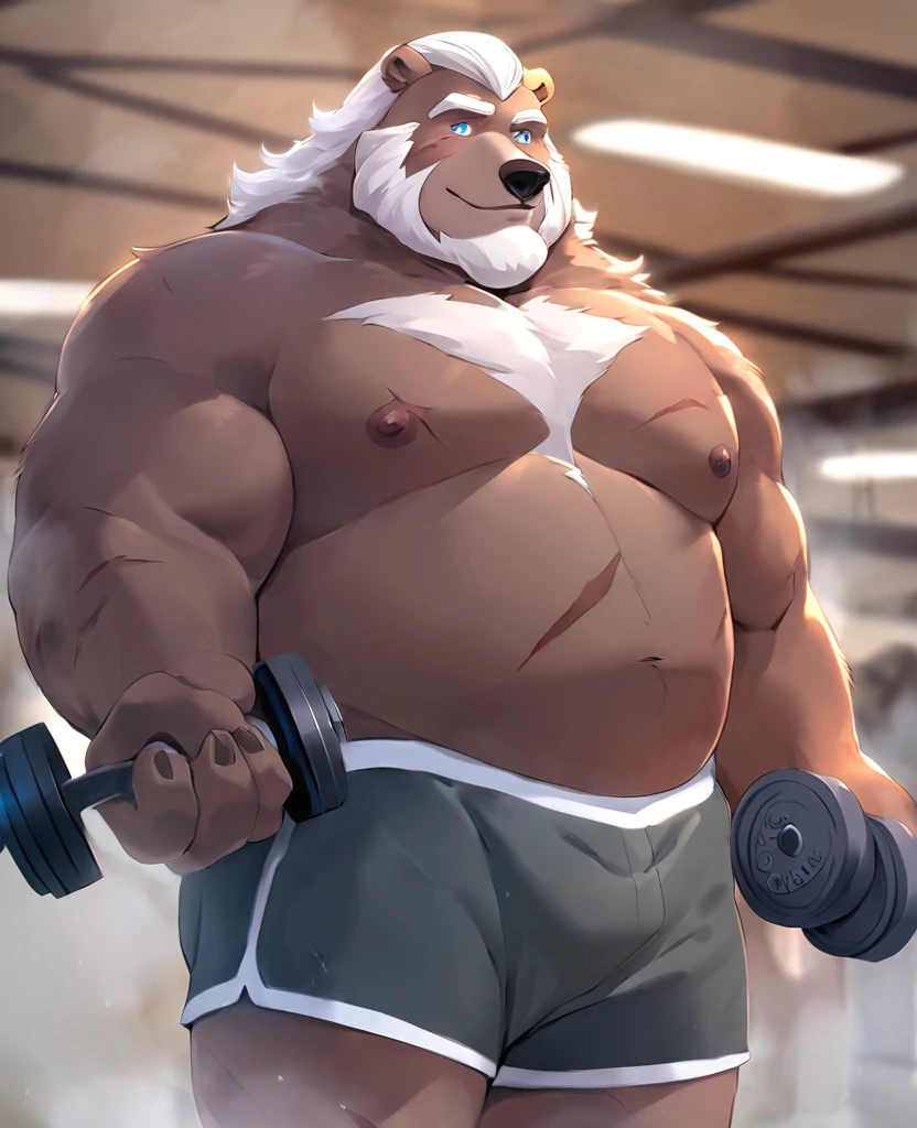 Solo,  1boy,   Grizzly Bear，personification，Mature male，Hercules，White hair，naked，Gentle expression，Blue pupils，gray eyebrows，Scars on face and chest，Shirtless,   topless，Gym Shorts,  Hands Holding Dumbbells，The Age of Steam，Gym Fitness Center。