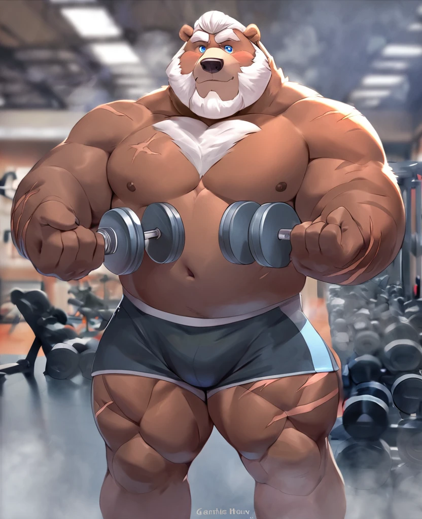 Solo,  1boy,   Grizzly Bear，personification，Mature male，Hercules，White hair，naked，Gentle expression，Blue pupils，gray eyebrows，Scars on face and chest，Shirtless,   topless，Huge Muscular,    Gym Shorts,  Thick Arms,   Hands Holding Dumbbells，The Age of Steam，Gym Fitness Center。