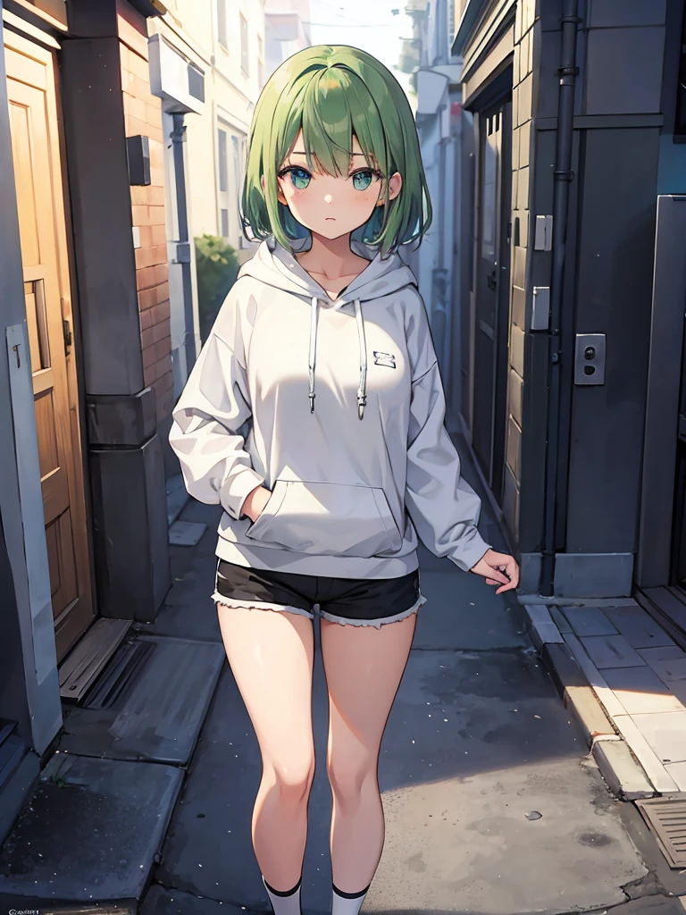 Masterpiece,High Quality,(Full Length 1.2),Animated Standing, Black Shorts,(Black and White Open Hoodie),Black Open Hoodie,(Green Hair 1.4),Animated Girl with short green hair and green eyes,(Detailed Eyes 1.6),(Clear Eyes 1.4),(Beautiful Eyes 1.4),(Shining Eyes 1 .4), White cyan, Green hair, Detailed key animated art, Animated portrait, Shining eyes, Green haired girl, Green light hair, Black shorts, Gray shoes, White socks, Thighs, 4K