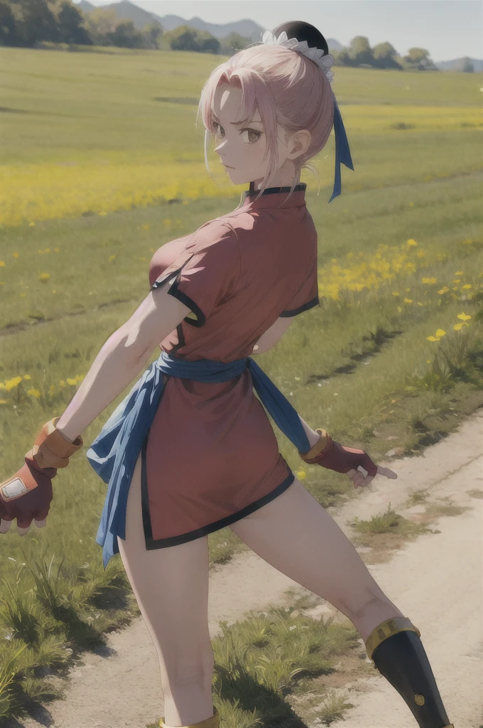 masterpiece, Highest quality, martialMaam, Hair Bun, short hair, China dress, Short sleeve, sash, Fingerless gloves, Combat Stance, From the side, View your viewers, slender,  blue sky, Field, Standing on one leg