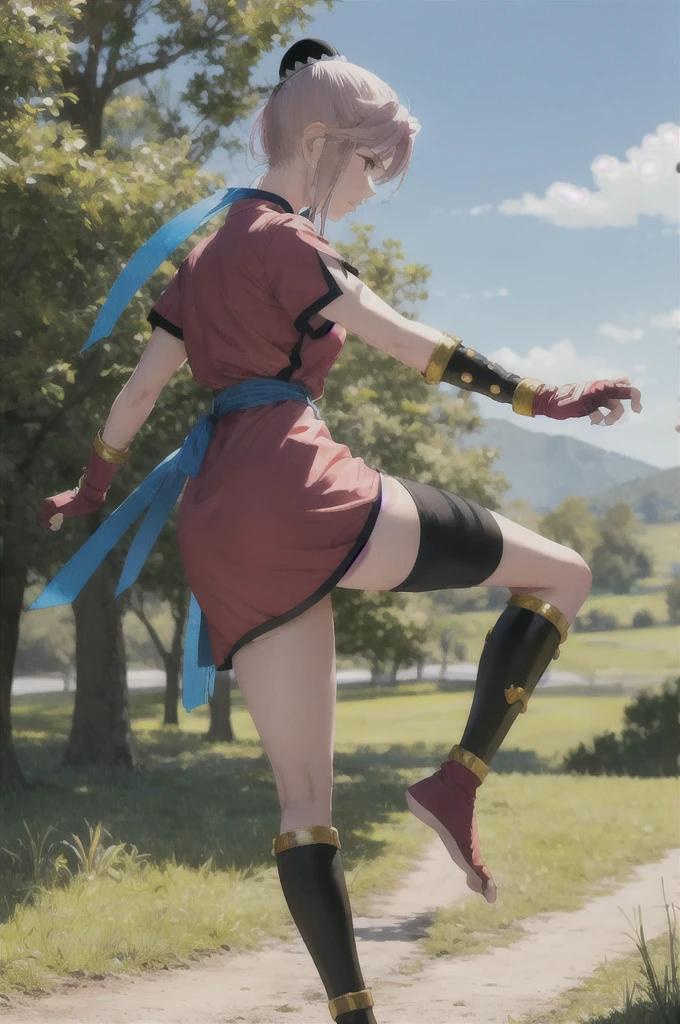 masterpiece, Highest quality, martialMaam, Hair Bun, short hair, China dress, Short sleeve, sash, Fingerless gloves, Combat Stance, From the side, View your viewers, slender,  blue sky, Field, Standing on one leg