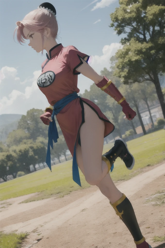masterpiece, Highest quality, martialMaam, Hair Bun, short hair, China dress, Short sleeve, sash, Fingerless gloves, Combat Stance, From the side, View your viewers, slender, blue sky, Field, Standing on one leg