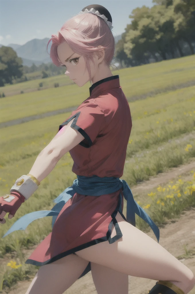 masterpiece, Highest quality, martialMaam, Hair Bun, short hair, China dress, Short sleeve, sash, Fingerless gloves, Combat Stance, From the side, View your viewers, slender, blue sky, Field, Standing on one leg