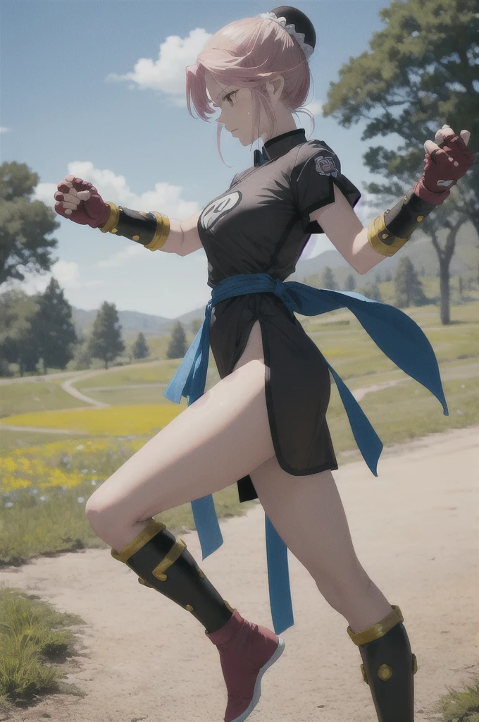 masterpiece, Highest quality, martialMaam, Hair Bun, short hair, China dress, Short sleeve, sash, Fingerless gloves, Combat Stance, From the side, View your viewers, slender, blue sky, Field, Standing on one leg