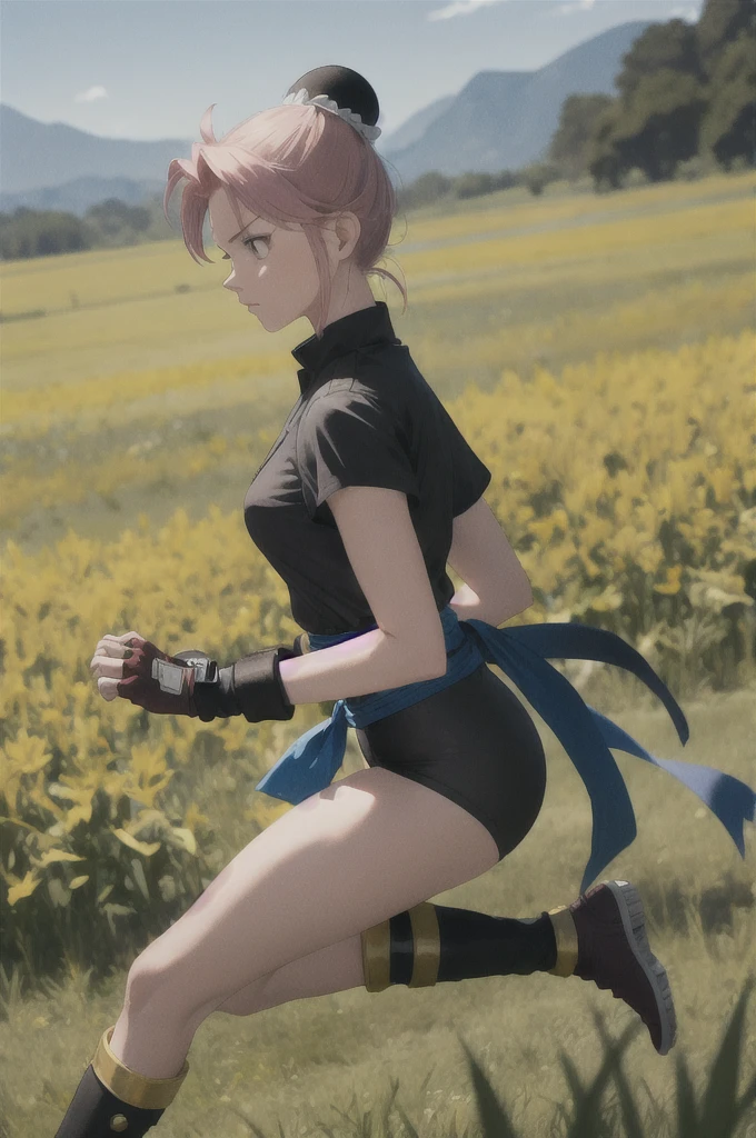 masterpiece, Highest quality, martialMaam, Hair Bun, short hair, Short sleeve, sash, Fingerless gloves, Combat Stance, From the side, View your viewers, slender, blue sky, Field, Standing on one leg