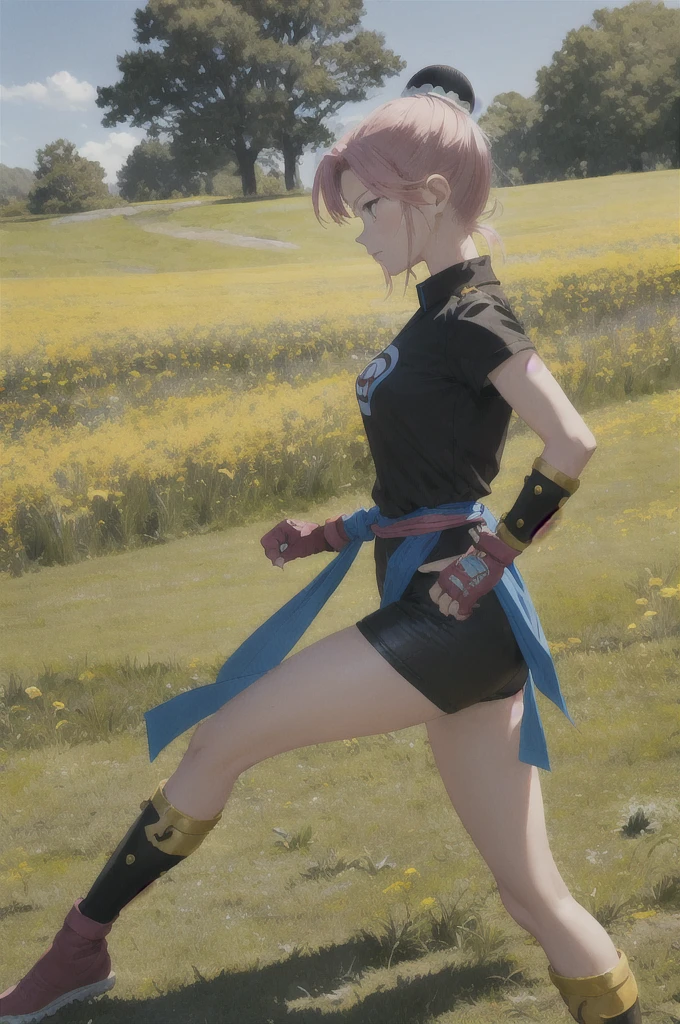 masterpiece, Highest quality, martialMaam, Hair Bun, short hair, Short sleeve, sash, Fingerless gloves, Combat Stance, From the side, View your viewers, slender, blue sky, Field, Standing on one leg