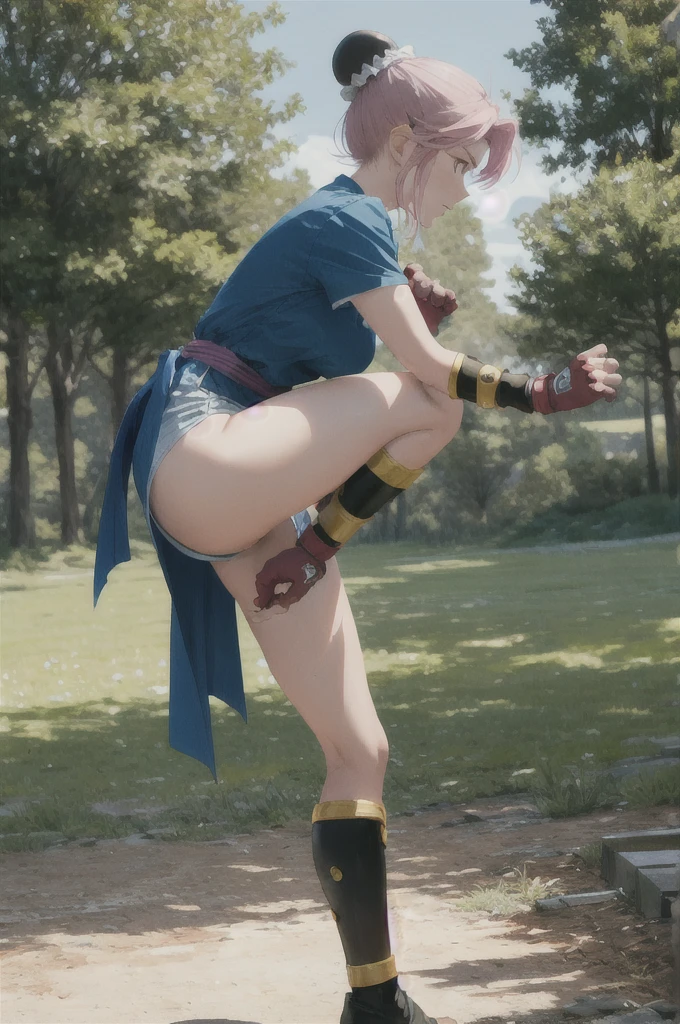 masterpiece, Highest quality, martialMaam, Hair Bun, short hair, Short sleeve, sash, Fingerless gloves, Combat Stance, From the side, View your viewers, slender, blue sky, Field, Standing on one leg