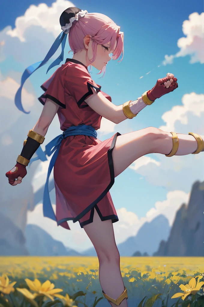 masterpiece, Highest quality, martialMaam, Hair Bun, short hair, China dress, Short sleeve, sash, Fingerless gloves, Combat Stance, From the side, View your viewers, slender, blue sky, Field, Standing on one leg