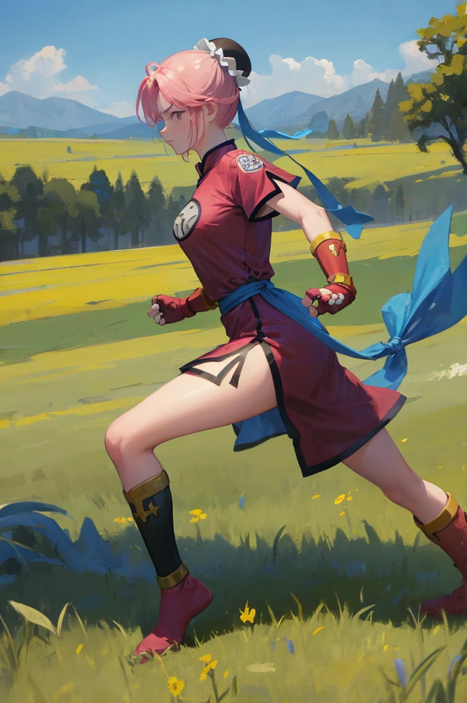masterpiece, Highest quality, martialMaam, Hair Bun, short hair, China dress, Short sleeve, sash, Fingerless gloves, Combat Stance, From the side, View your viewers, slender, blue sky, Field, Standing on one leg