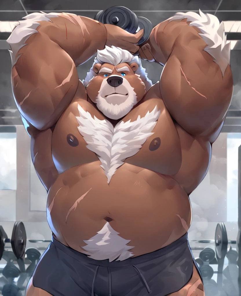 Solo, 1boy, Grizzly Bear,personification,Mature male,Hercules, Short White hair,naked,Gentle expression,Blue pupils,gray eyebrows,Scars on face and chest,Shirtless, topless,Huge Muscular, Gym Shorts, Thick Arms, Hands Holding Dumbbells,The Age of Steam,Gym Fitness Center。