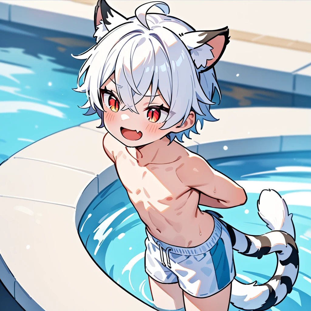 （masterpiece：1.2，high quality），4K，High resolution，A -year boy，e boy， white hair，short hair，crossed bangs，red eyes，slit pupils， ahoge，cat ears，laughing，skin fang，no sports top，Topless，white swimming trunks，Standing in the pool，primary sche，tiger tail，((Hands behind your back))