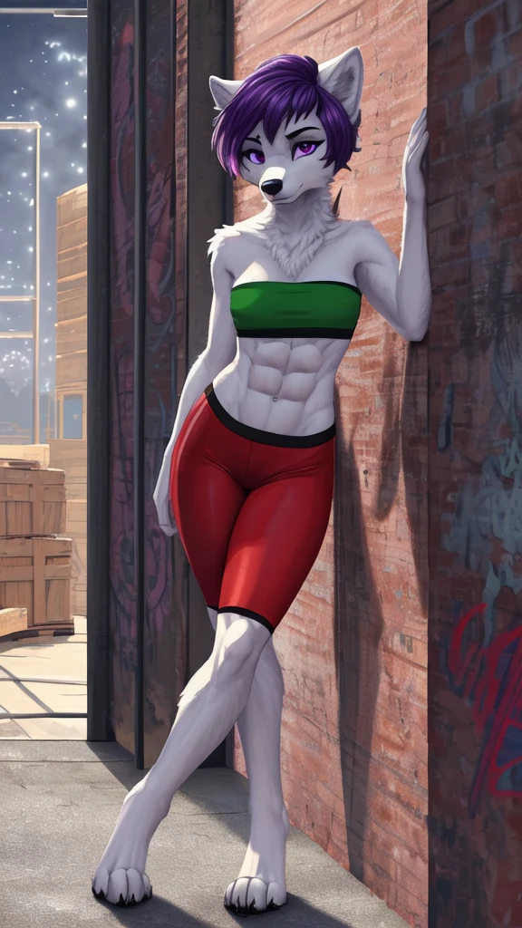 masterpiece, top quality, best quality, highly detailed, 8k, super high resolution, absurdres, perfect anatomy, dynamic_angle, (highly detailed beautiful face and eyes), solo focus, purple eyes, dark purple hair, ((short hairstyle)), (furry female anthro), (adult), (full body), (((furry white wolf body))), (wolf snout, detailed dark body fur), ((red sports bra, green bandeau, red spandex shorts)), small breasts, (toned abs), hip tuft, leg tuft, ((gloomy facial expression)), barefoot, (looking at viewer), ((leaning against wall, side against wall, standing against wall)), warehouse, industrial background, factory, crates, graffiti, pipes, yellow fluorescent lights, night, 1 female, solo