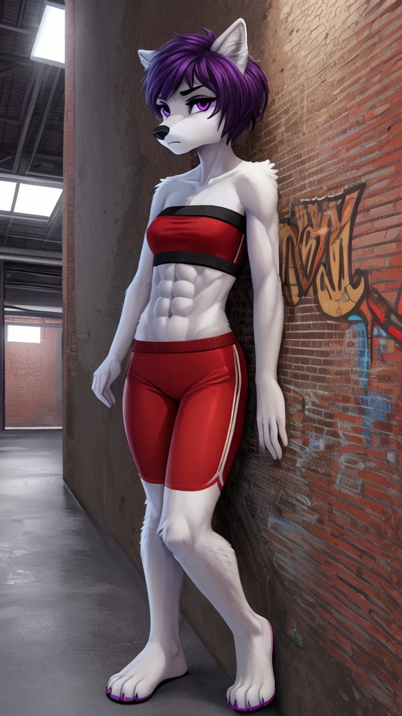 masterpiece, top quality, best quality, highly detailed, 8k, super high resolution, absurdres, perfect anatomy, dynamic_angle, (highly detailed beautiful face and eyes), solo focus, purple eyes, dark purple hair, ((short hairstyle)), (furry female anthro), (adult), (full body), (((furry white wolf body))), (wolf snout, detailed dark body fur), ((red sports bra, green bandeau, red spandex shorts)), small breasts, (toned abs), hip tuft, leg tuft, ((gloomy facial expression)), barefoot, (looking at viewer), ((leaning against wall, side against wall, standing against wall)), warehouse, industrial background, factory, crates, graffiti, pipes, yellow fluorescent lights, night, 1 female, solo