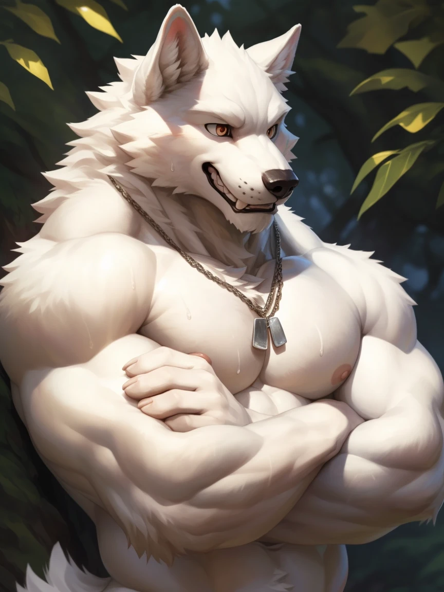 (masterpiece,Highest quality,Very detailed,Perfect Anatomy),,Sharp focus, From null-ghost,alone,Humanity,Muscular,naked,,Looking down,Look this way,Sweat,Brave,Wolf(White fur:1.5,White body:1.5),fluffy,penis,Cross your arms,Grin,Dog Tags,Look to the side