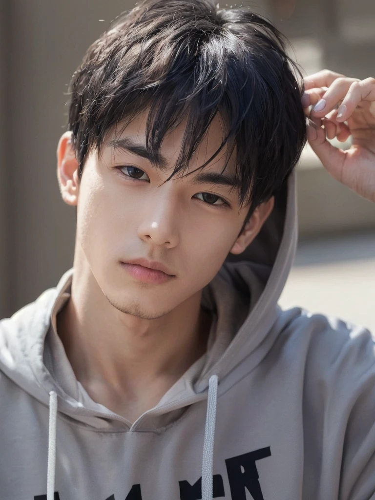 Masterpiece, high quality, close-up, one boy, black hair, black eyes, grey hoodie