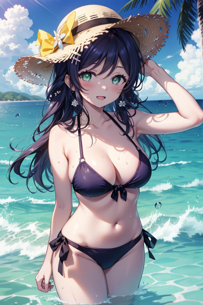 nozomitoujou, Nozomi-san always, (Green Eyes:1.5), Purple Hair, Long Hair, (Large Breasts:1.2),smile,Open your mouth,Purple bikini swimsuit,barefoot,Water Play,Wet Skin,Wet Hair,Wet swimsuit,True Summer,Palm tree,透明なOcean,Daytime,Clear skies,whole bodyがイラストに入るように,
break looking at viewer,whole body (Cowboy Shot:1. 5)
break indoors,Ocean, Beach,Sandy Beach,
break (masterpiece:1.2), Highest quality, High resolution, unity 8k wallpaper, (figure:0.8), (Beautiful attention to detail:1.6), Highly detailed face, Perfect lighting, Highly detailed CG, (Perfect hands, Perfect Anatomy),