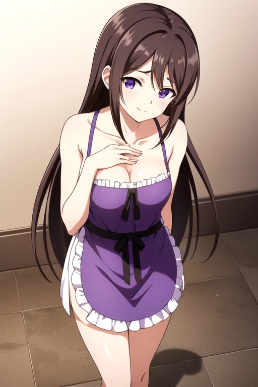 Naked apron, Marinette Akizuki, Akizuki Hamana, Long hair, Brown hair, (Purple Eyes:1.1), rest looking at viewer, rest indoors, rest (masterpiece:1.2), best quality, high resolution, Unity 8K wallpaper, (illustration:0.8), (Beautiful and delicate eyes:1.6), Extremely detailed face, Perfect lighting, Extremely detailed CG, (Perfect hands, Perfect anatomical structure),Smooth skin, Smile, Happy，Slim,(beautiful,Chest:1.3), full body