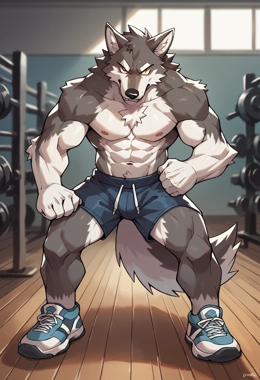 furry，Wolf，strong，fitness