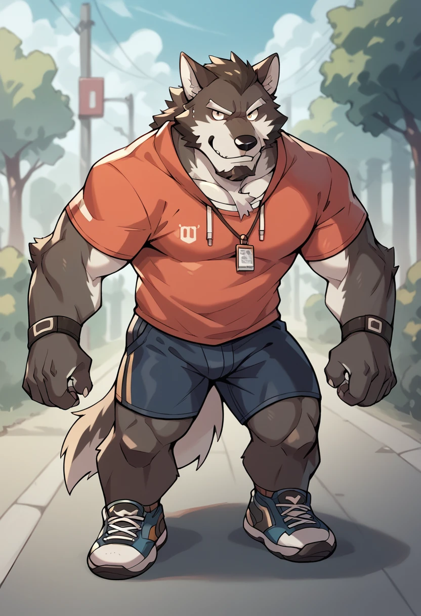 furry，Wolf，strong，Fitness Beard