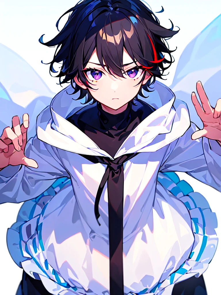 [(WHITE BACKGROUND:1.5),::5], ((((masterpiece)))), high quality, ultra very high resolution, full color, (((solo))), ((little boy)), Black hair, ((White streaked hair)), (Black eyes), anime, ((upper body)), black parka, 