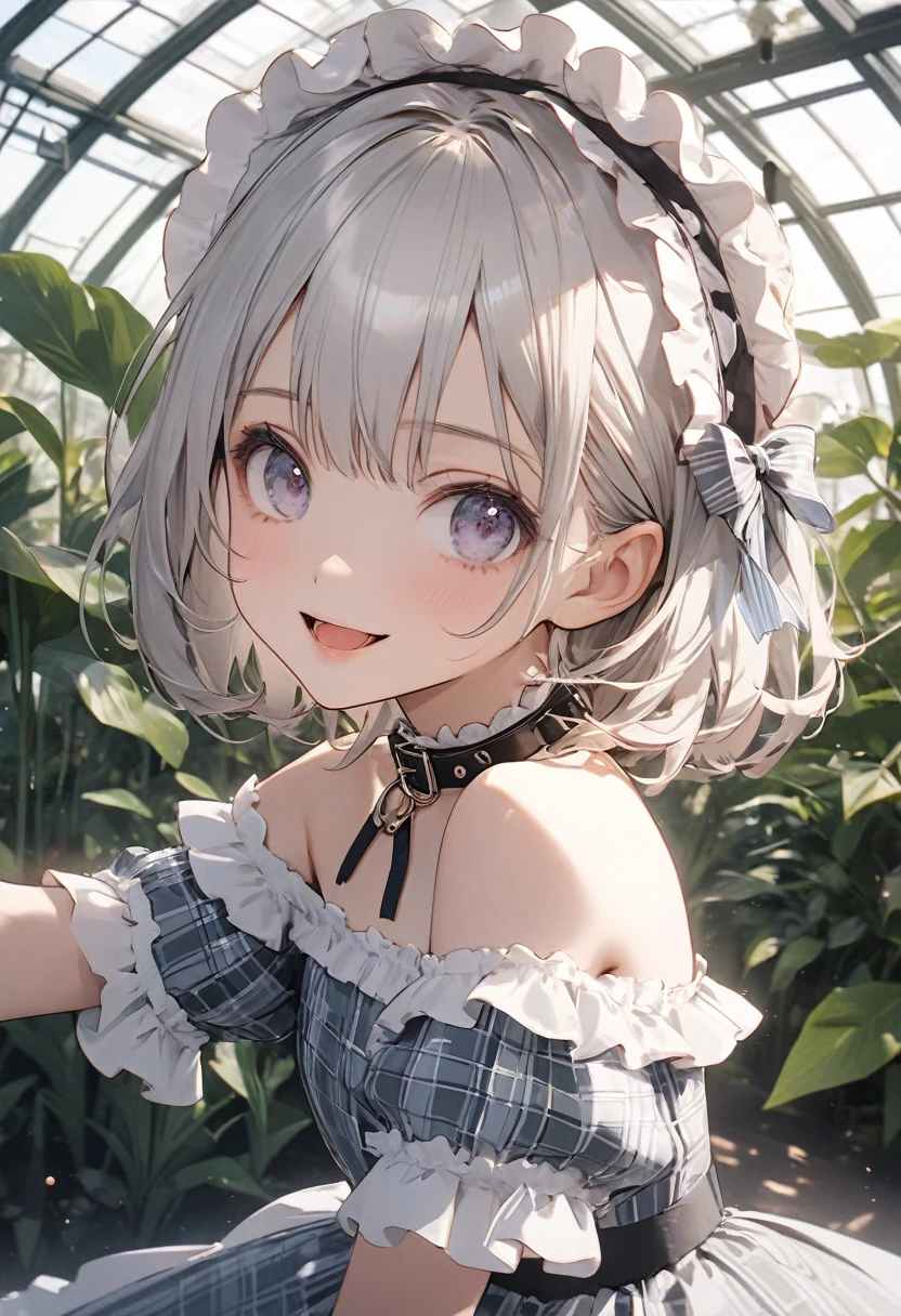 ((Masterpiece)), ((best quality)), ((kawaii)), ((extremely detailed)), (sketch:0.3), (RAW photo:1.2), (8K), (High Definition:1.3), (Professional Photography:1.2), cinematic lighting, (very aesthetic:1.2), (absurdres:1.2), (sharp focus), (perfect light), ((12 years old)), cute teenage girl, Plaid dress, (Off-Shoulder dress), hoop dress, strapless, (lolita fashion), (healthy skin), pale silver hair, (Reaching arm), exposed bare shoulder and arms, lolita style, ((looking at another)), ((avert eyes)), naughty smile, open mouth, pretty, portrait of lolita girl, Wearing pet collar, (against the giant greenhouse), ribbon belt,