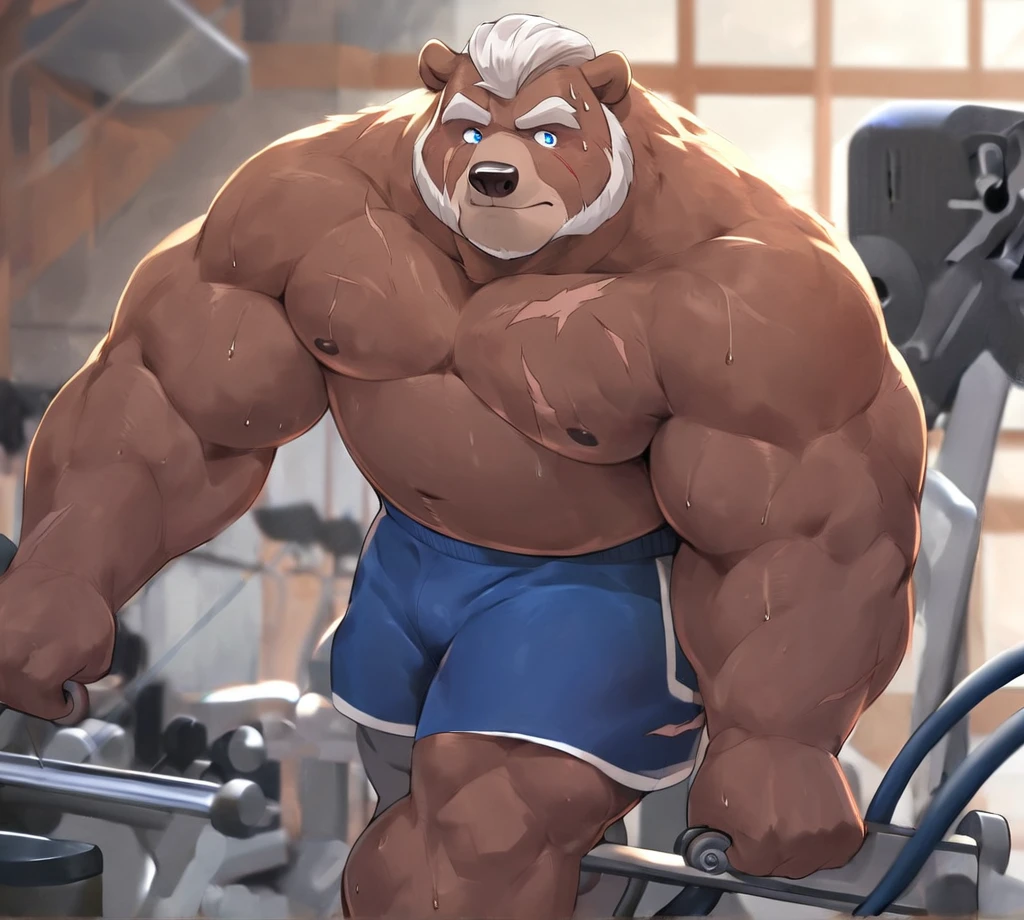 Solo, 1boy, Grizzly Bear,personification,Mature male,Hercules, Short White hair,naked,Gentle expression,Blue pupils,gray eyebrows,Scars on face and chest,Shirtless, topless,Huge Muscular, Gym Shorts, Thick Arms, Hands Pulling Cable Flyes, Cable Crossover Machine, The Age of Sweat,Gym Fitness Center。