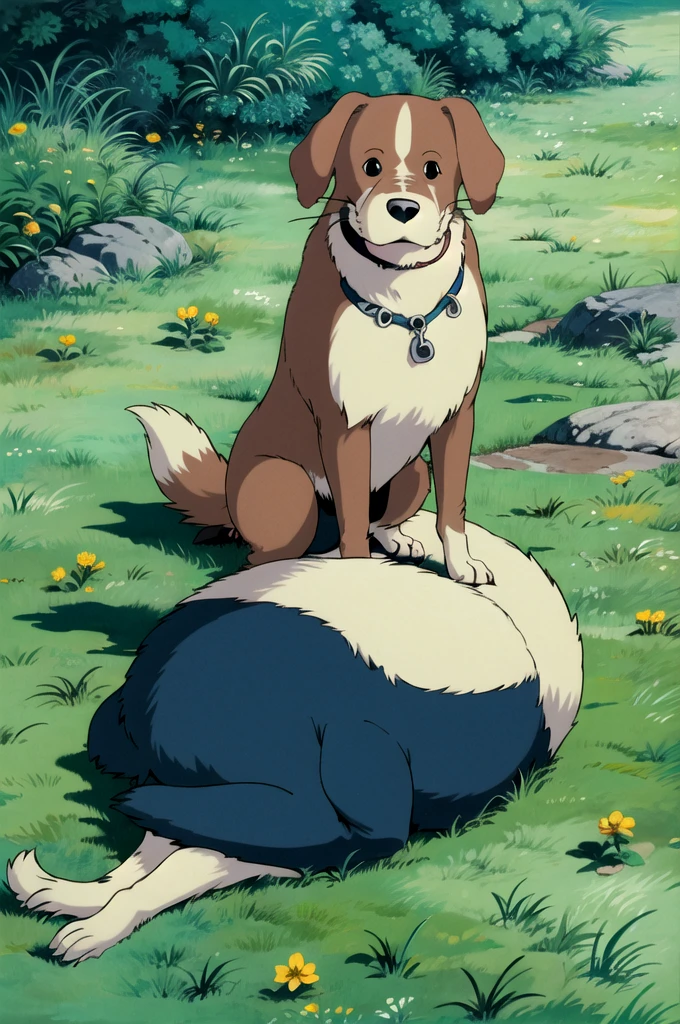 (((ghibli style))),animal,A dog sitting on the grass