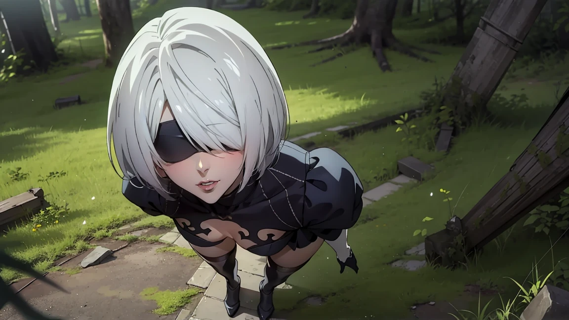 portrait of a girl, лицо близко to the camera, face close up, (((лежит on the back, the viewer looks at her from above))), POV view from above, view above it, embarrassed, (((Shows off the chest))), on the back, (very detailed eyes, pupils, Lips 1.1), blindfold, gloomy composition, gloomy background, the forest, ruins covered with moss, Tall trees, nature, the lights of a sun, very detailed. very detailed eyes, grey-blue eyes, beautiful figure, Ruin, ruined city, very detailed eyes, beautiful figure, Lucy from the anime series 1 girl, facing the viewer, beautiful figure (Correct anatomy 1.1.), full length (Full body 1.1), slim, A slim body, A slim body, slender legs, anime style, White hair, White hair, that disappear at the ends, Bob hairstyle, Cutouts on the shoulders, Cutouts on the chest, Neckline at the waist, black stockings, Black short skirt, white panties, very detailed face, Very beautiful face, very sexy, full length (Full body 1.1), маленькая elastic грудь, small ass, Красивая A slim body, Small buttocks, world, Femininity,chedevr,Best quality,very detailed,Visible to your feet, permission 8k, High sharpness, permission 8k, very detailed, 8k contract, professional lighting, photon mapping,physical rendering, perfect face, Detailed face and body, Ray tracing, expressive look, Cinmatic worlding,elastic , Increased sexuality,